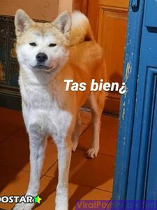 Mila - firefliesirl OnlyFans Leaks (48 Photos) - NudoStar