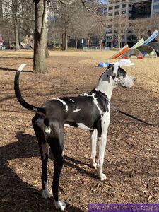 BayBelle Onlyfans Vazamentos Álbum Nu