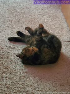 your_submissive_doll Onlyfans Утечки Нагого Альбома - Последние утечки