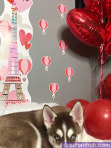 Marley Brinx Onlyfans Fuites Dernière Série de Photos