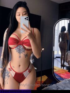 songyuxin_hitomi Onlyfans 泄露 裸体专辑