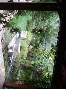 Missbella Onlyfans 最新のプレミアムリーク