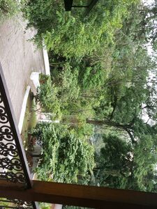 Missbella Onlyfans 最新のプレミアムリーク