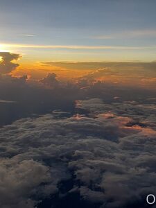 Missbella Onlyfans 最新のプレミアムリーク