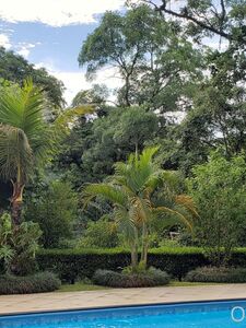 Missbella Onlyfans 最新のプレミアムリーク