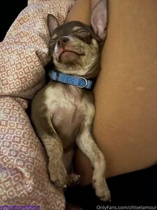Chloelamour Onlyfans Derniers Fuites Premium