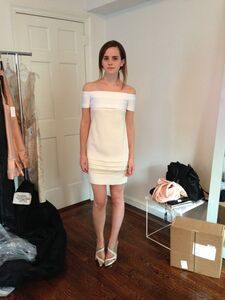 超热的艾玛·沃特森裸体照在互联网上泄露