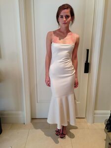 Super sexy nues d'Emma Watson fuitées sur Internet