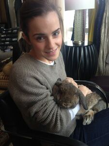 Super heiße Emma Watson Nacktfotos im Internet geleakt