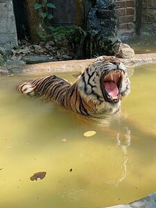 Moiicos43 Onlyfans Ultimi Leak Premium