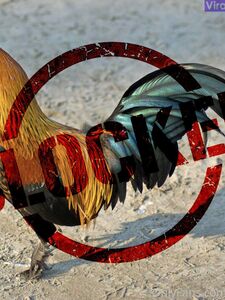 Fuites de la dernière photo nue de Lena Paul sur Onlyfans