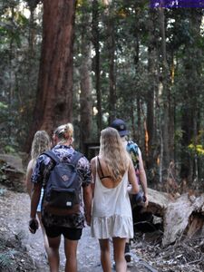 jasminerenee Onlyfans 最新のヌード写真リーク