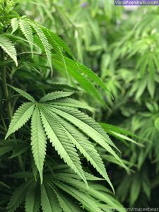 neptunenips Onlyfans Ultime fughe di foto nude