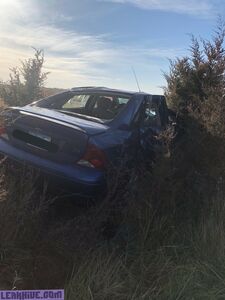 liddolpet exclusif onlyfans nudes fuités