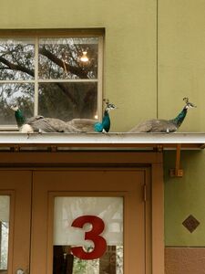 Ushna Malik Exklusive Onlyfans Leaked Nudes