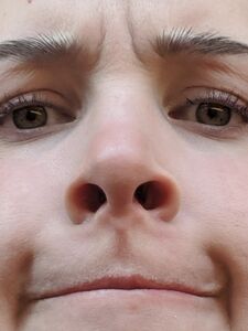 Aella Girl exclusive onlyfans leaked nudes